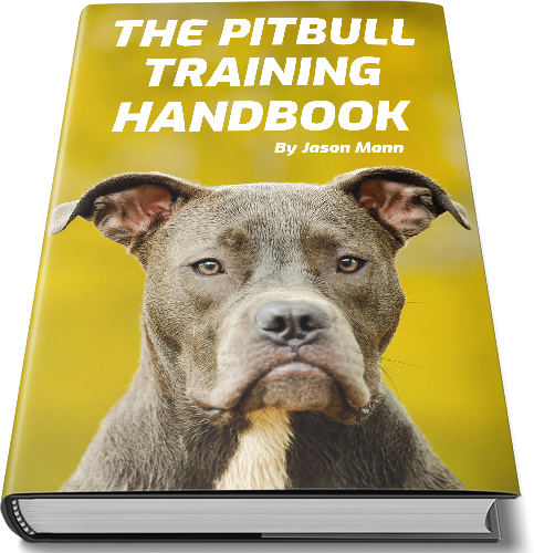 The pitbull traninig handbook